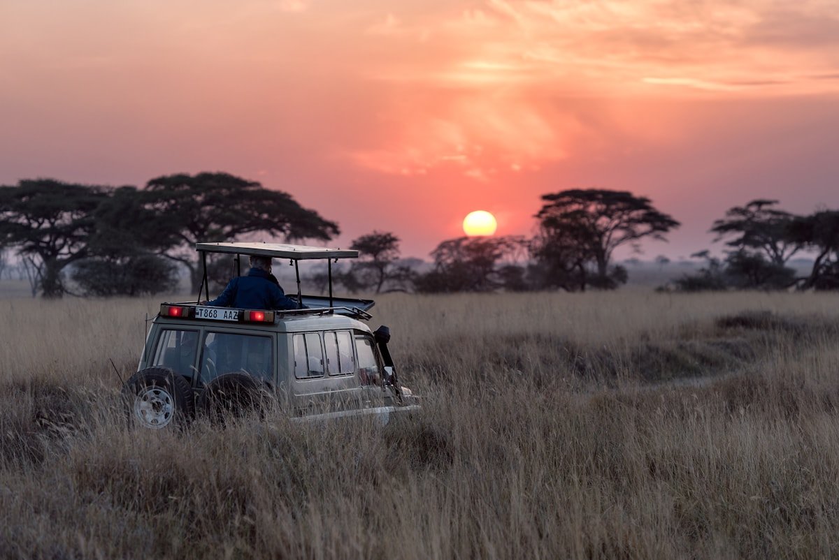 Luxury African safari